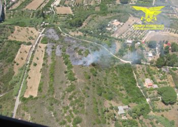 Oggi in Sardegna sono stati segnalati 18 incendi, solo a Quartucciu è intervenuto il mezzo aereo del Corpo forestale