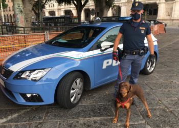 Gli agenti della Polizia di Stato hanno salvato il cagnolino Roul. Denunciato il suo padrone per maltrattamento di animali