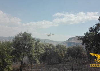 Incendio a Dolianova, sul posto mezzi e uomini del Corpo forestale