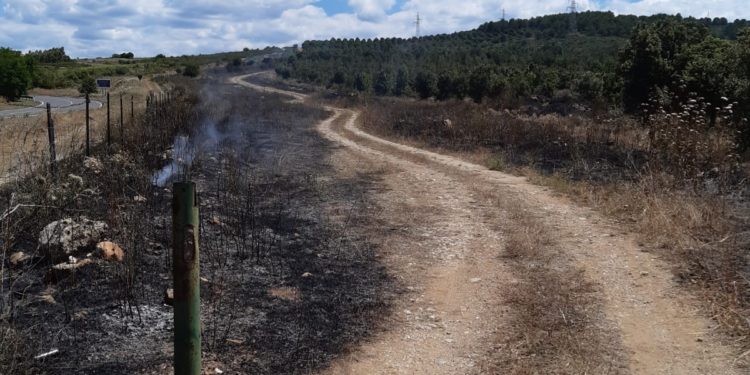 Domati gli incendi a Morgongiori e Dolianova