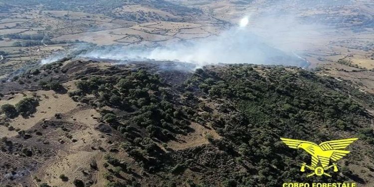 Spenti gli incendi a Las Plassas, Tratalias, Quartucciu ed Orroli