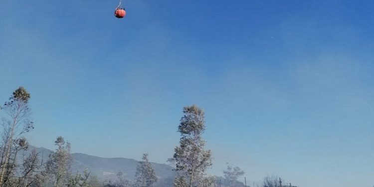 Tre dei dodici incendi segnalati oggi in Sardegna hanno richiesto l’intervento del mezzo aereo del Corpo forestale