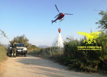 Incendi a Bono e Cabras, in azione uomini e mezzi del Corpo forestale. Fiamme anche a Torpè