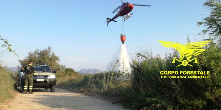 Incendi a Bono e Cabras, in azione la Forestale