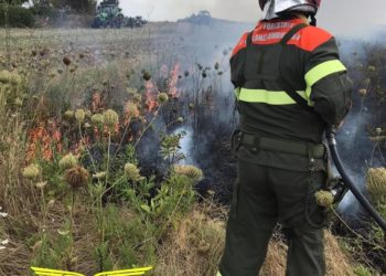 Fiamme nelle campagne di Gavoi, sul posto la Forestale
