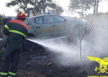 Incendi ad Assemini e Sorso, uomini e mezzi della Forestale impegnati nelle operazioni di spegnimento