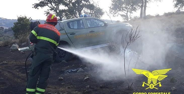 Fiamme nelle campagne di Gonnoscodina, impegnati per lo spegnimento uomini e mezzi del Corpo forestale
