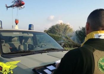 Incendio nelle campagne di Dorgali, in azione la Forestale