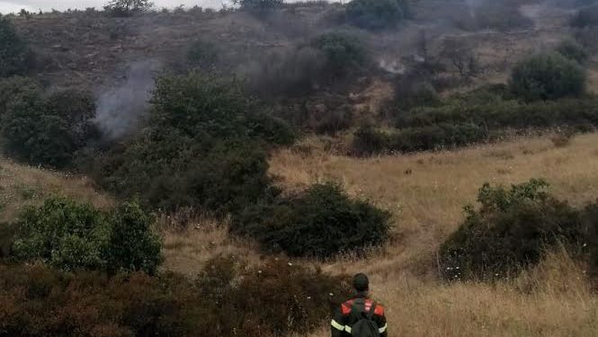 Non si placano gli incendi nelle campagne del Goceano, a Burgos sono in azione uomini e mezzi del Corpo forestale