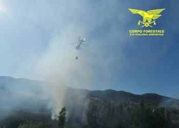 Fiamme nelle campagne di Orroli, in azione uomini e mezzi del Corpo forestale