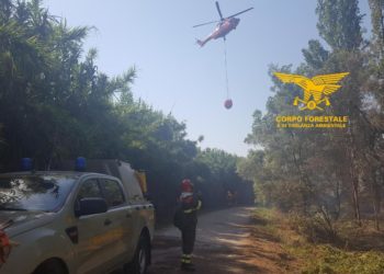Oggi, su un totale di 13 incendi occorsi sul territorio regionale, 2 hanno richiesto l’intervento del mezzo aereo del Corpo forestale