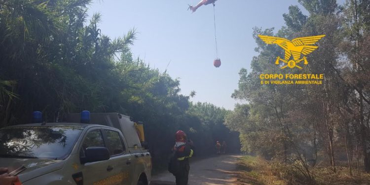 Oggi, su un totale di 13 incendi occorsi sul territorio regionale, 2 hanno richiesto l’intervento del mezzo aereo del Corpo forestale