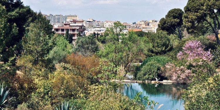 Cagliari candidata a Capitale del verde d’Europa 2023