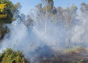 Incendio nelle campagne di Triei, un elicottero del Corpo forestale impegnato nello spegnimento