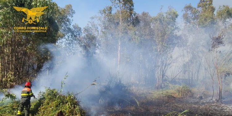 Incendio nelle campagne di Triei, un elicottero del Corpo forestale impegnato nello spegnimento