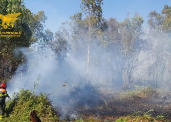 Oggi, su un totale di 13 incendi occorsi sul territorio regionale, 2 hanno richiesto l’intervento del mezzo aereo del Corpo forestale