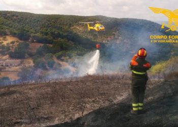 Fiamme nelle campagne di Sassari, in azione uomini e mezzi del Corpo forestale