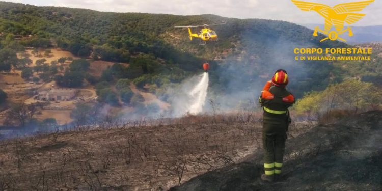 Fiamme nelle campagne di Sassari, in azione uomini e mezzi del Corpo forestale