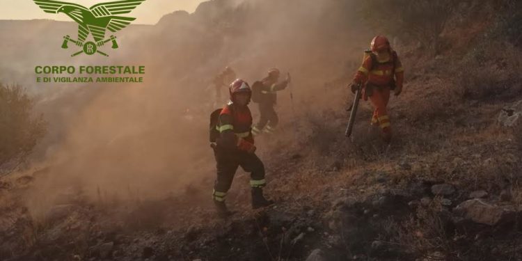 Incendio nelle campagne di Chiaramonti, sul posto uomini e mezzi del Corpo forestale
