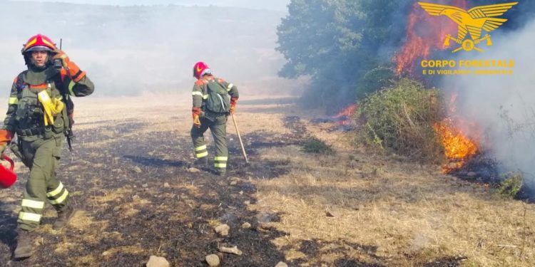 Oggi, su un totale di 27 incendi segnalati, solo uno ha richiesto l’intervento del mezzo aereo del Corpo forestale