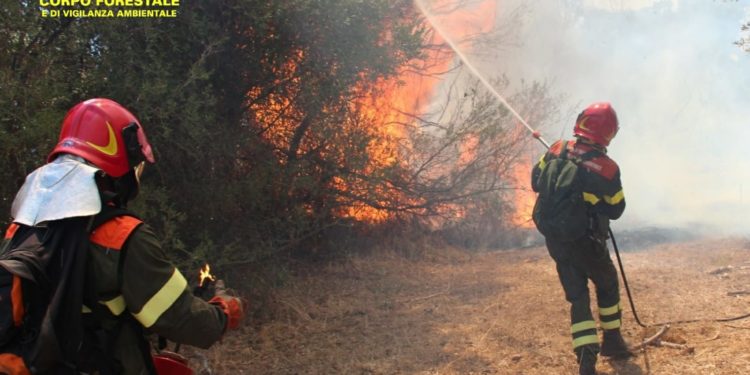 Incendio nelle campagne di Carbonia, sul posto uomini e mezzi del Corpo forestale