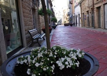 Tempio Pausania: i centri estivi saranno gratis per i bambini diversamente abili