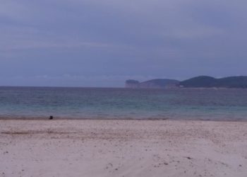 Alghero: pubblicato l’avviso pubblico per le attività sportive nel Lido San Giovanni