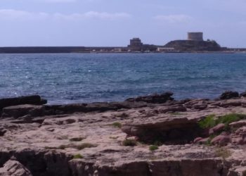 Bosa avrà una “Dog Beach”