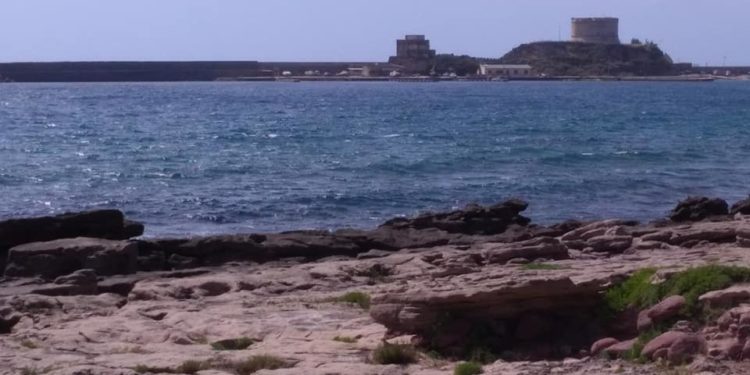 Bosa avrà una “Dog Beach”