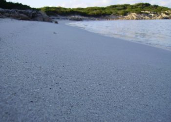La Maddalena: martedì un nuovo ciclo di disinfestazione nelle spiagge