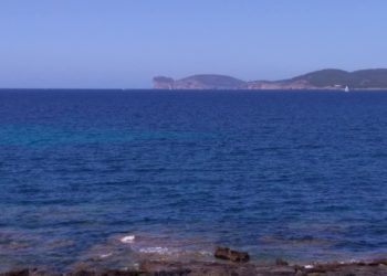 Alghero: pubblicato l’avviso pubblico per la gestione delle dog beach a Maria Pia e a La Stalla