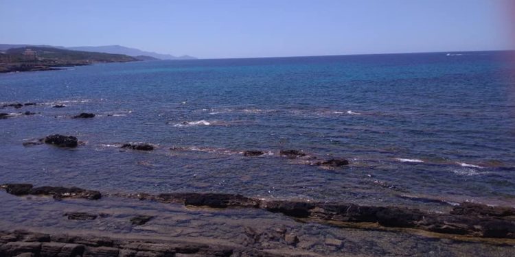 Alghero: alta concentrazione di alga Ostreopsis ovata a Las Tronas, controlli dell’Arpas