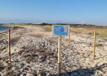 Cabras: A San Giovanni di Sinis, Maimoni e Su portu ‘e s’uedda aree dedicate ai cani