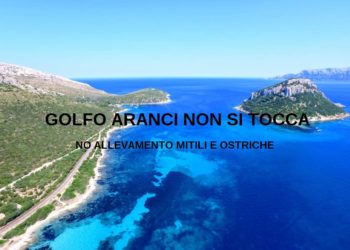 “Salviamo la costa di Golfo Aranci”: una pagina facebook contro l’allevamento di mitili e ostriche a Baracconi
