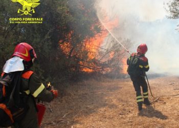 E’ stato spento l’incendio sviluppatosi a Curraggia, nelle campagne di Tempio Pausania