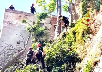 I vigili del fuoco sono intervenuti nel quartiere Castello per la messa in sicurezza di alcuni alberi secchi e pericolanti