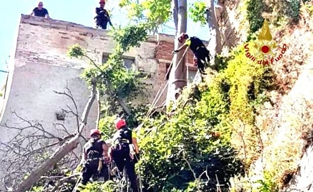 I vigili del fuoco sono intervenuti nel quartiere Castello per la messa in sicurezza di alcuni alberi secchi e pericolanti