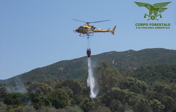 Un incendio sta attualmente interessando le campagne di Burgos, in località “Castello di Burgos”