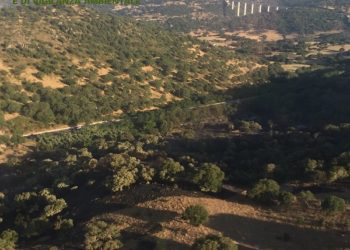 Domato l’incendio nelle campagne di Nuoro