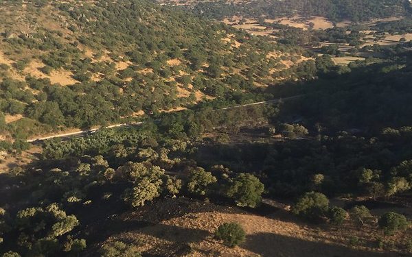 Domato l’incendio nelle campagne di Nuoro