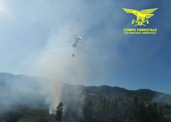 Incendio ad Ussana, sul posto uomini e mezzi del Corpo forestale.