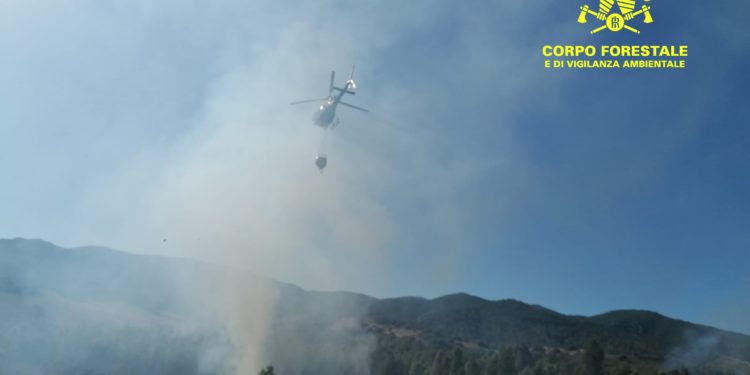 Incendio ad Ussana, sul posto uomini e mezzi del Corpo forestale.