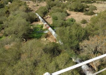 Consorzio di Bonifica del Nord Sardegna: «Insieme per costruire il futuro economico del territorio»