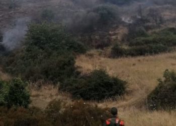 Incendi nelle campagne di Sassari e Fonni, in azione per lo spegnimento uomini e mezzi del Corpo Forestale