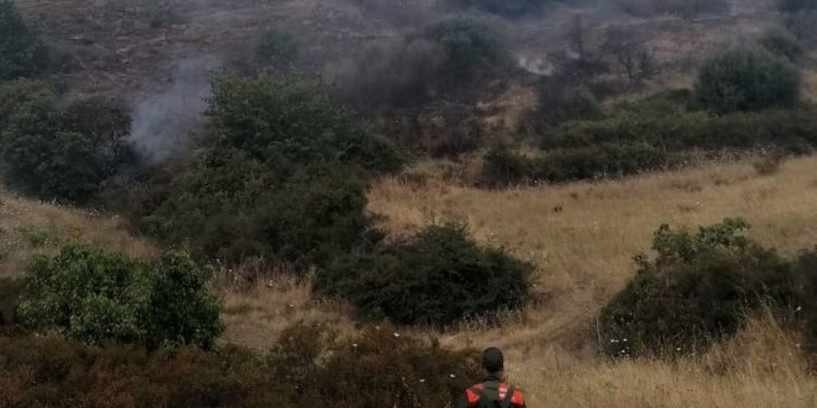 Incendio nelle campagne di Cuglieri, sul posto uomini e mezzi del Corpo forestale