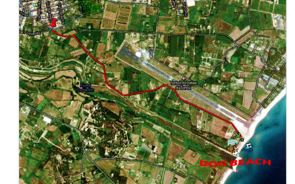 Tortolì: riparte la dog beach nella spiaggia Zaccurru