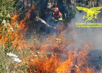 Incendio nelle campagne di Assemini, in azione uomini e mezzi della Forestale