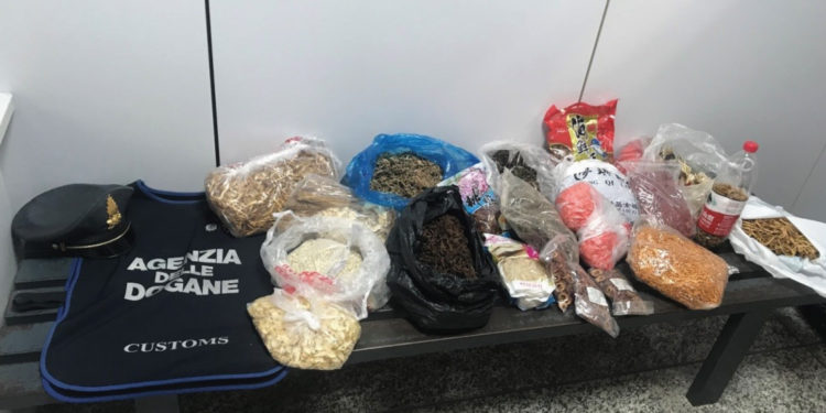 Sequestro di prodotti vegetali all’aeroporto di Alghero