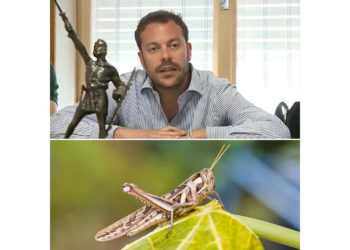 Eugenio Zoffili (Lega): «Allarme cavallette in Sardegna, intervenga il Governo»