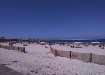 Alghero: al via la rimozione della posidonia di Fertilia-Punta Negra